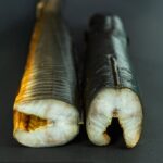 węgorz wędzony warszawa mazury